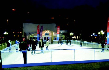 Ice Rink Accessories - Polycarbonate Boards