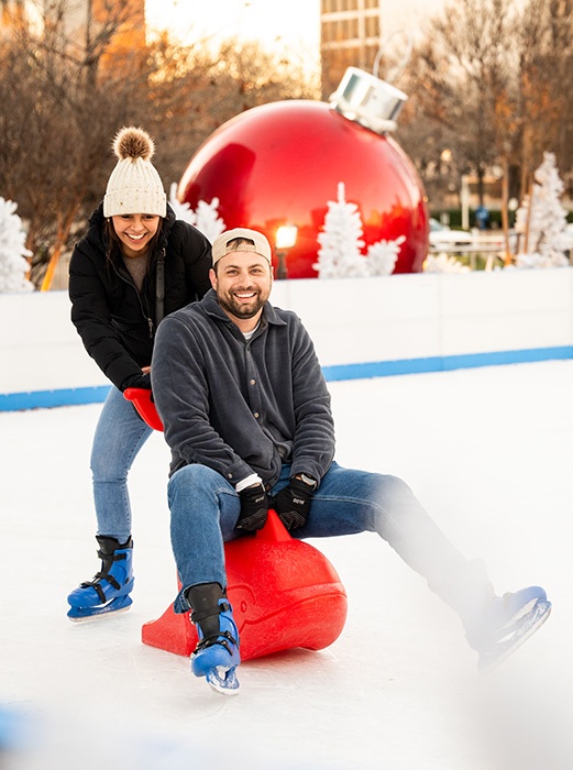 Ice Rinks 1 IceRinks 2